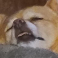 sirmewmew