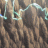 sevenswords